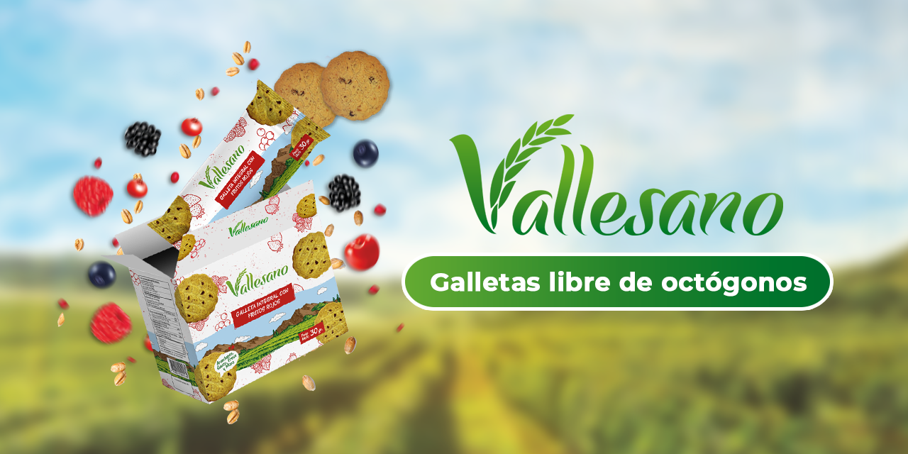 https://www.corpalen.com/wp-content/uploads/2024/04/BANNER-WEB-vallesano_.png